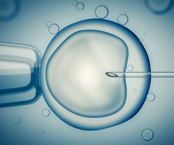 Vật tư tiêu hao dùng một lần cho ứng dụng sinh sản - Đĩa nuôi cấy IVF