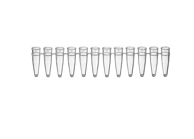 Dải ống PCR