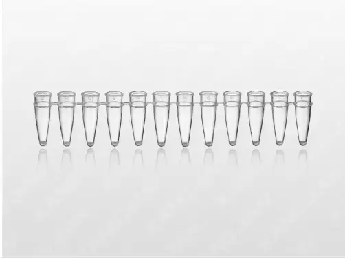 Ống phản ứng trong suốt PCR