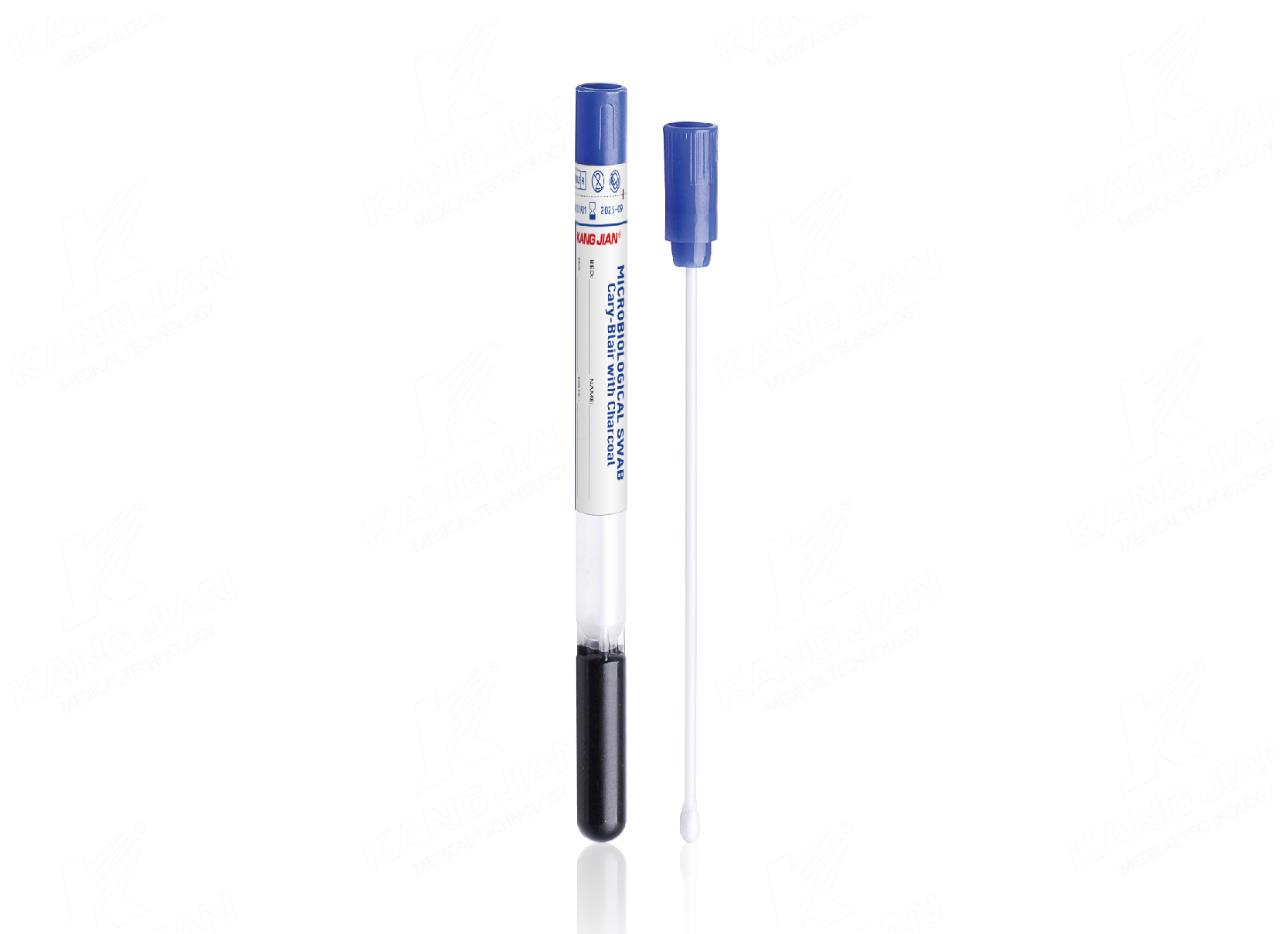 Gel thạch Cary-Blair với than củi