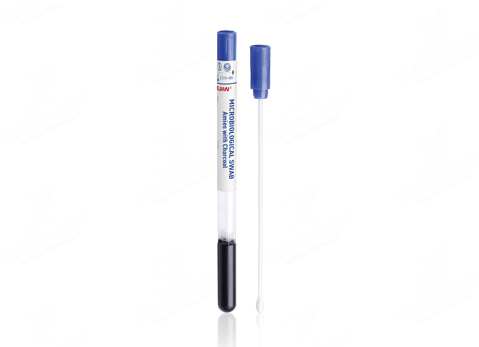 Gel thạch Amies với than củi